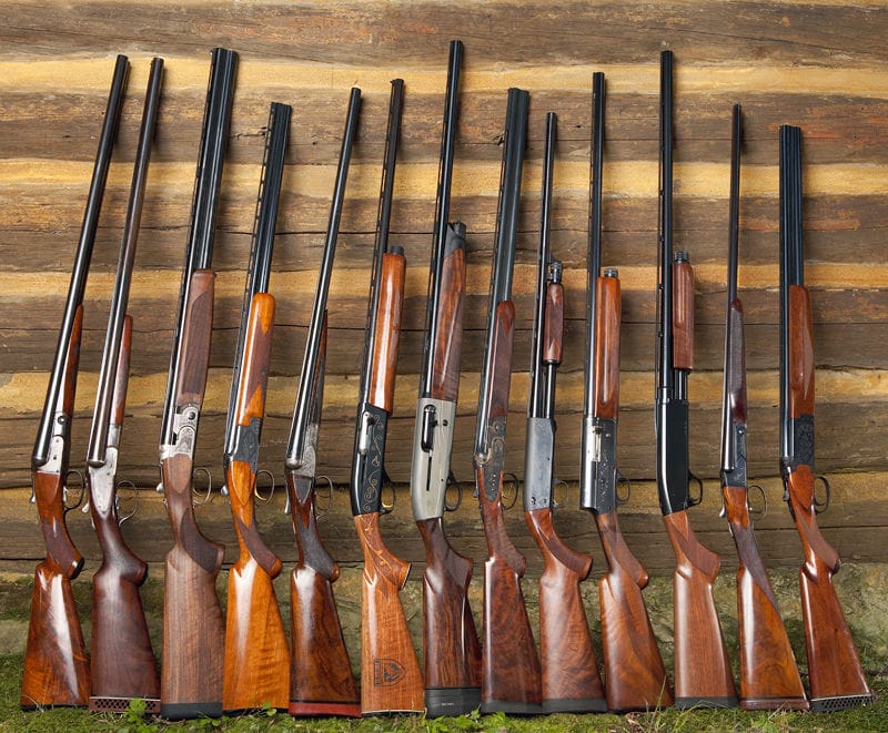 Specialisti delle leggi sulle armi e sulla caccia